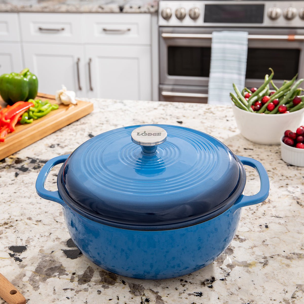 Lodge Enameled Cast Iron Dutch Oven 6QT - Metro Singapore Departmental Store - Celebrating 69 Years in SG