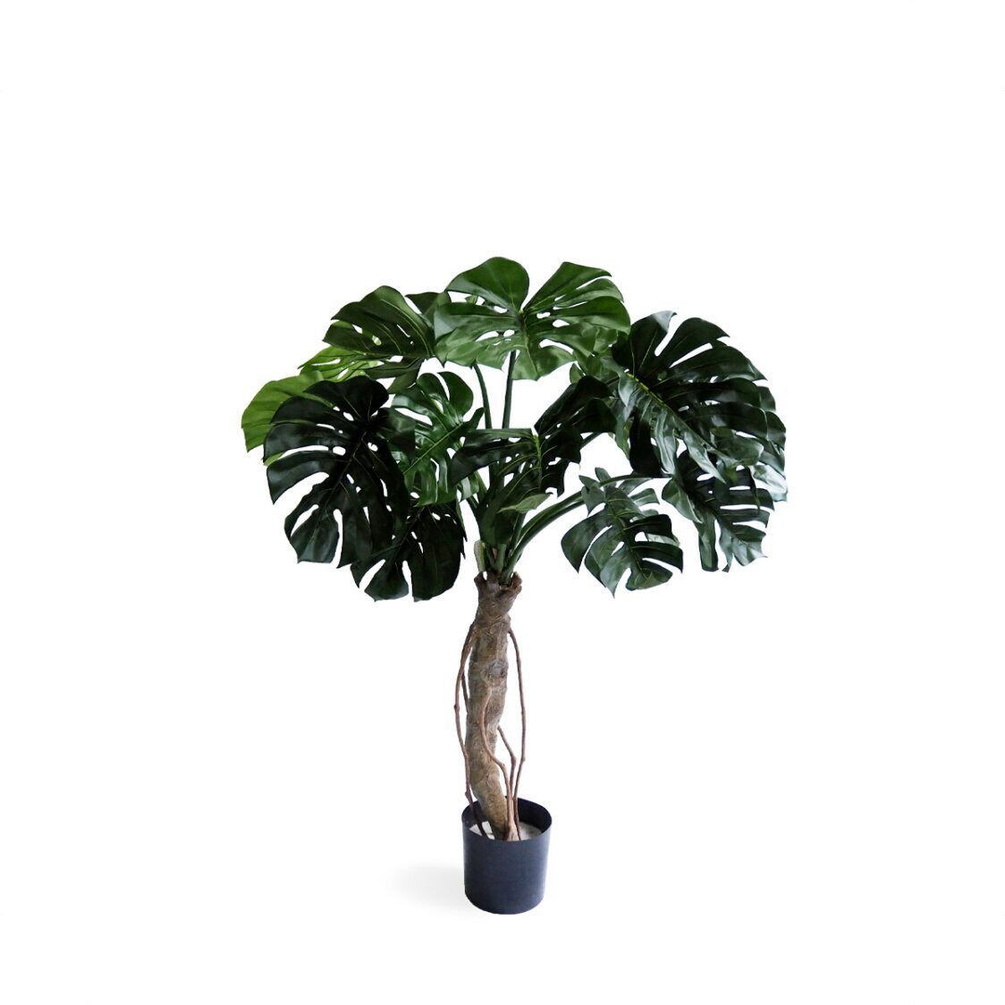 Pollyanna Spilt Philo Potted Plant - Metro Singapore Departmental Store - Celebrating 69 Years in SG