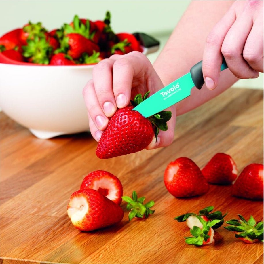 Tovolo Comfort Grip Paring Knife Ice Blue - Metro Singapore Departmental Store - Celebrating 69 Years in SG