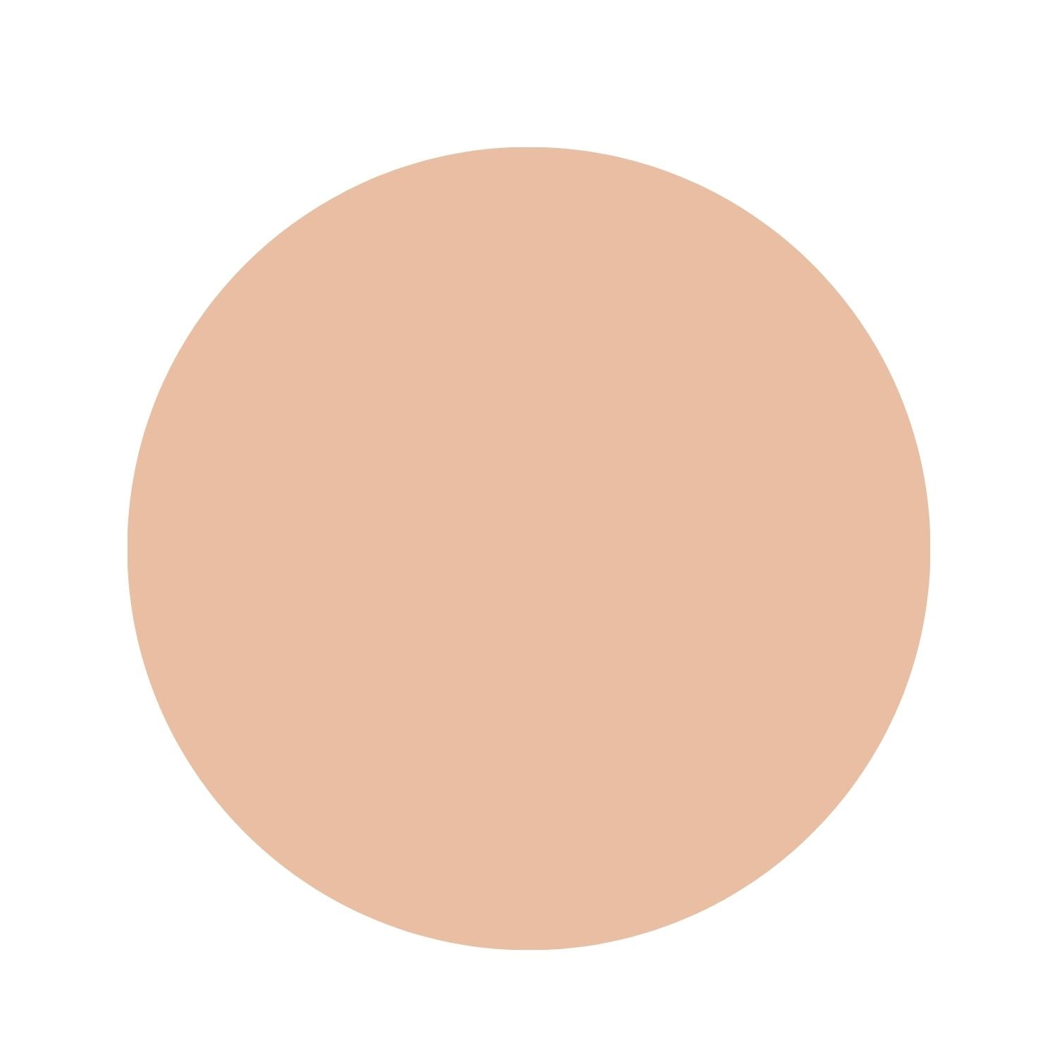 Cle De Peau Beaute Brightening Powder Foundation