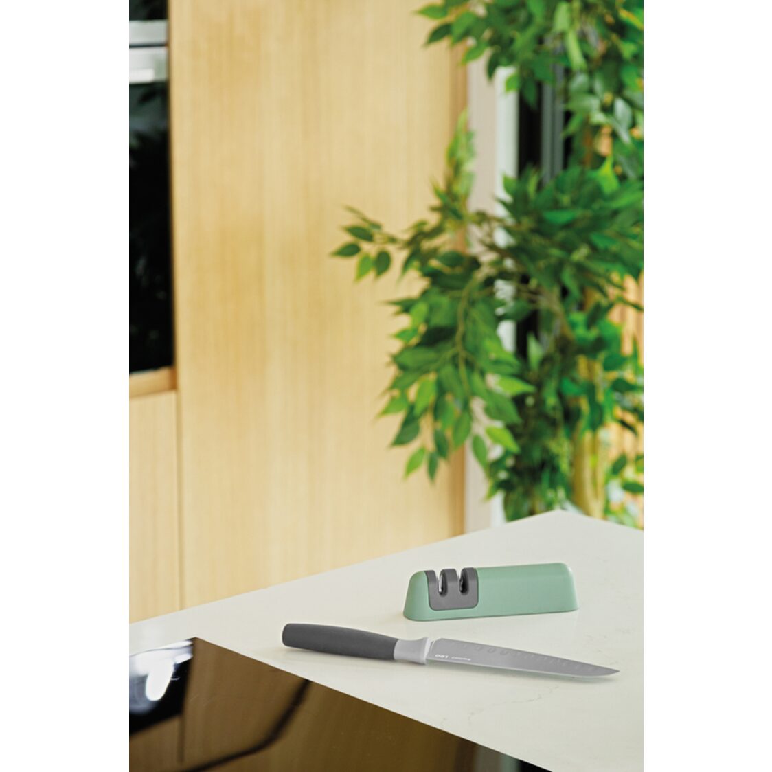 Berghoff Knife Sharpener With Two Stages Green
