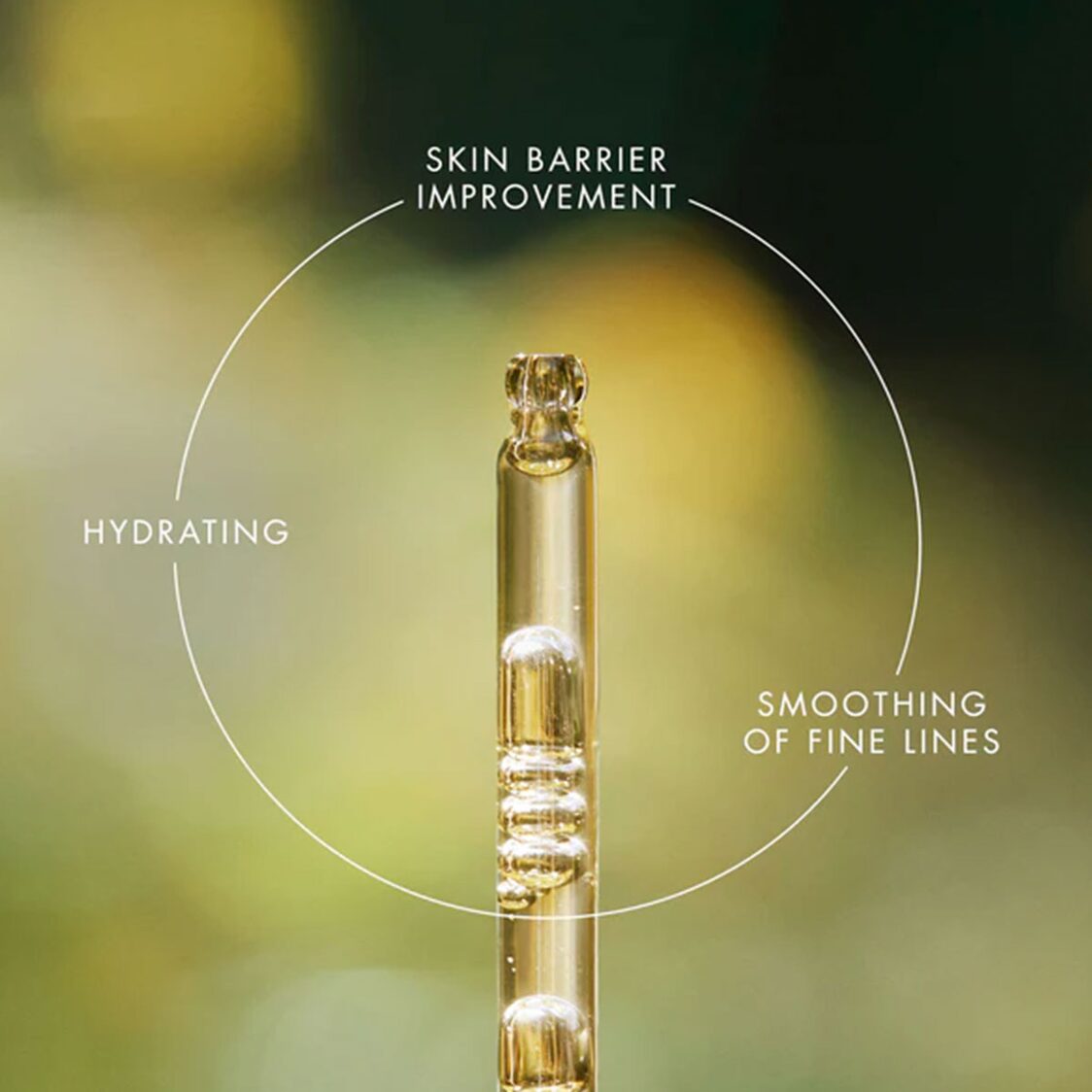 Eve Lom Renewal Treatment Oil 30ml