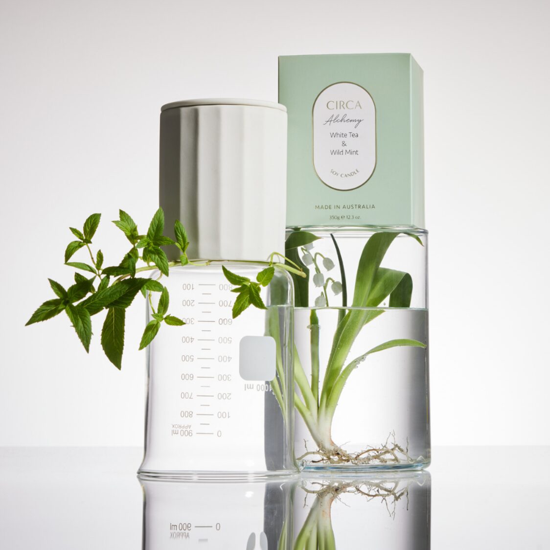 Circa Soy Candle 350g - White Tea & Wild Mint (Alchemy)