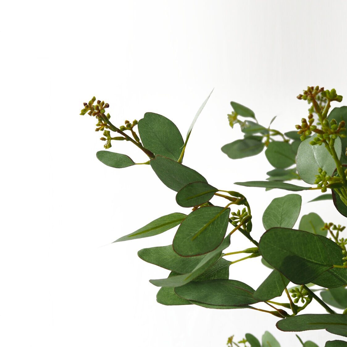 Pollyanna Poppel Ball Potted Tree with Beans