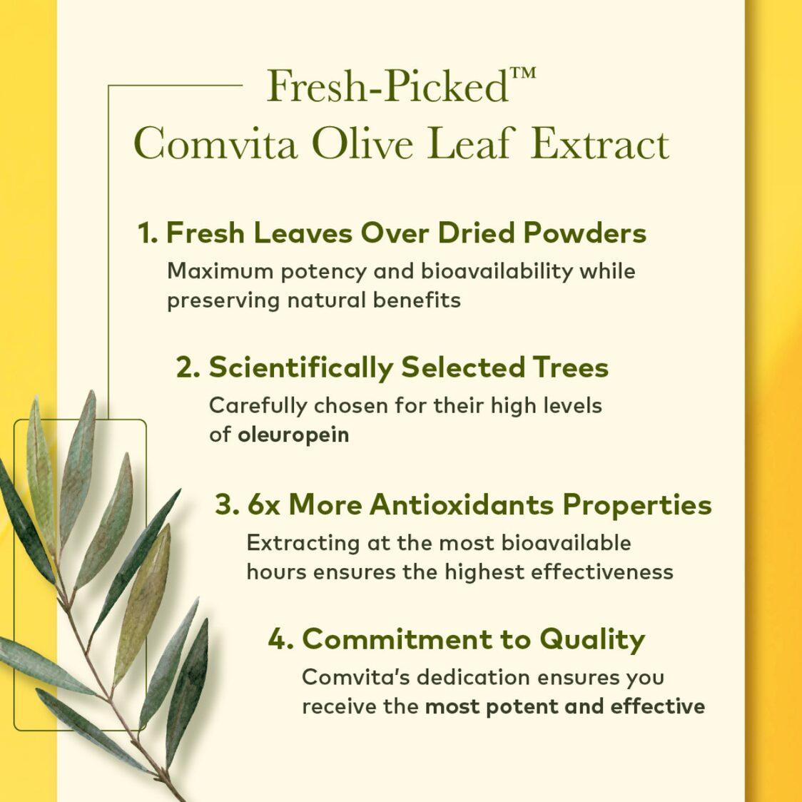 Comvita Olive Leaf Extract - Peppermint Flavour 500ml