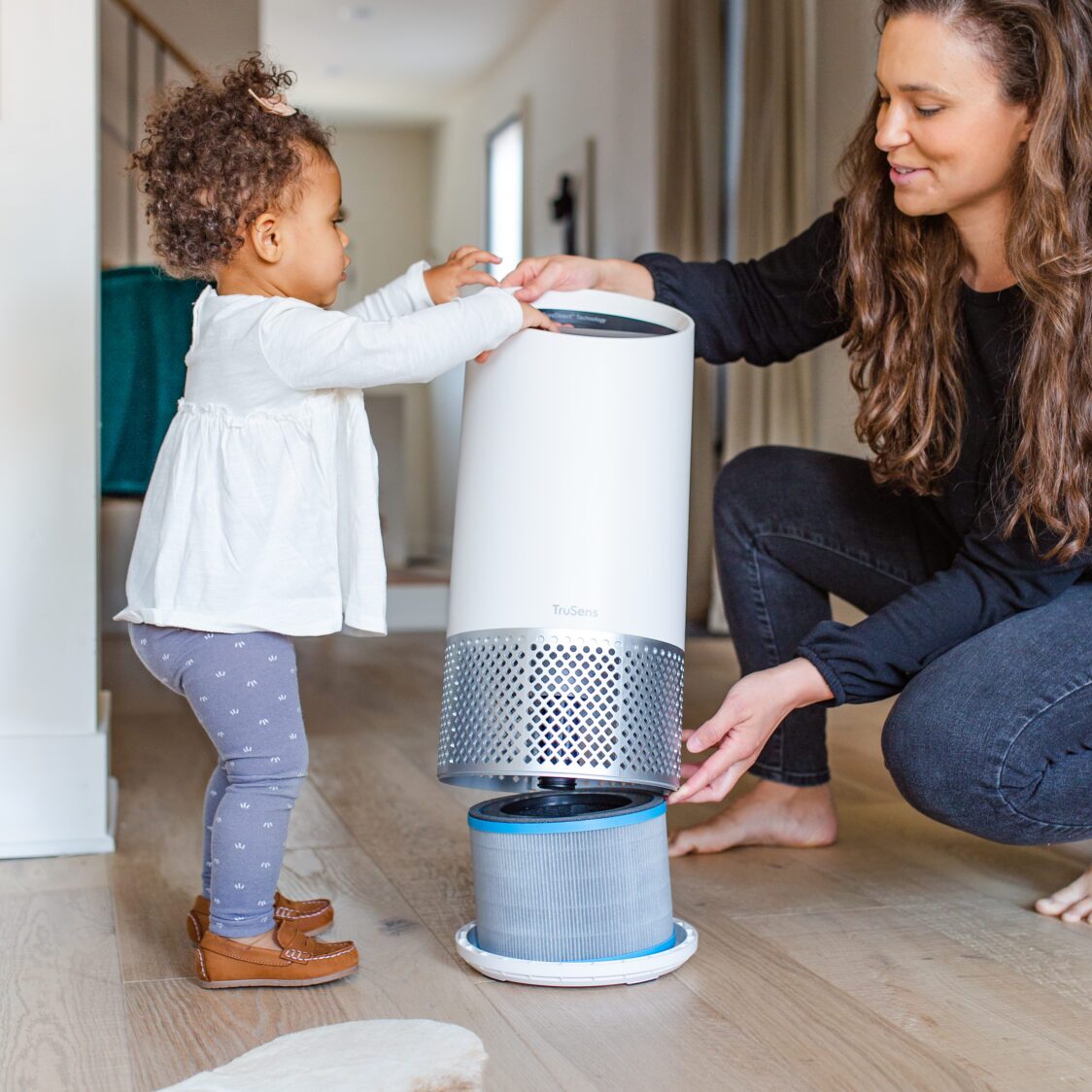 TruSens Z2000 Allergy & Flu Hepa Drum Filter