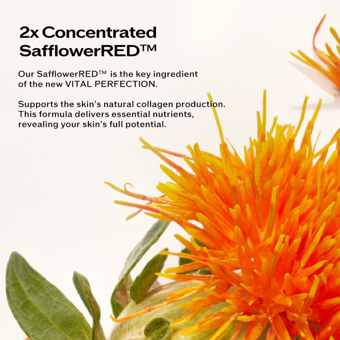 Shiseido Vital Perfection Concentrated Supreme Cream 50ml