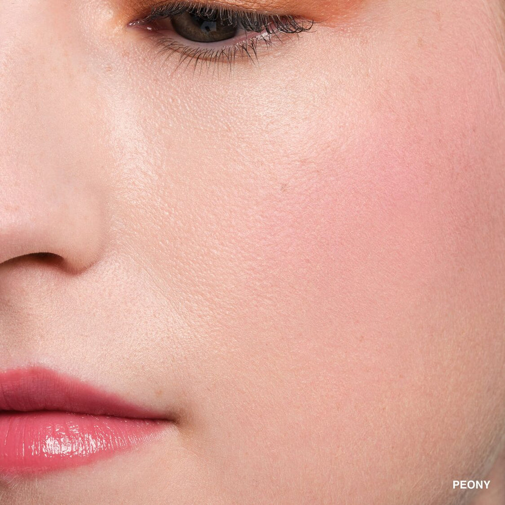 Bobbi Brown Pot Rouge Velvet Matte