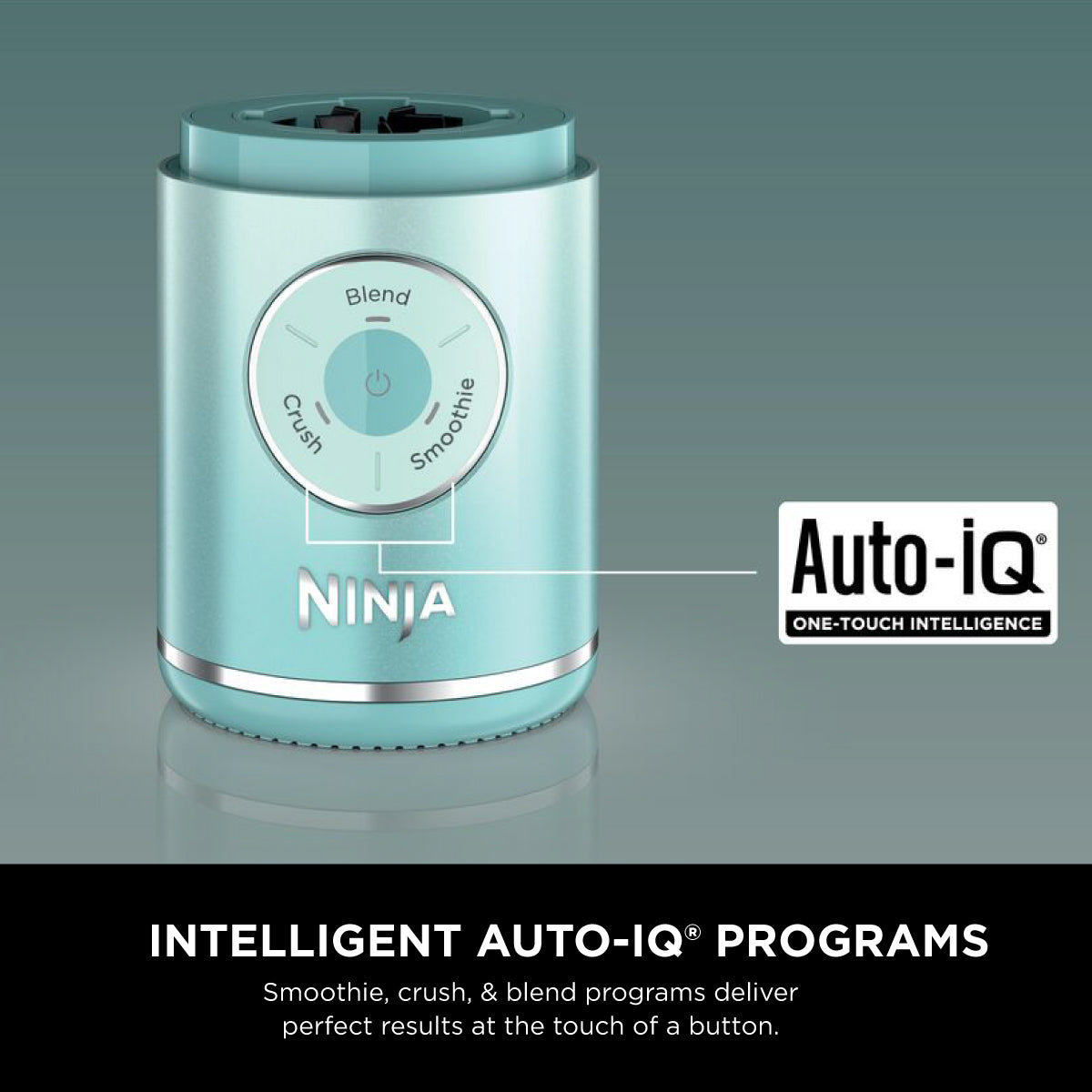 Ninja Blast Max 650ml (BC251)