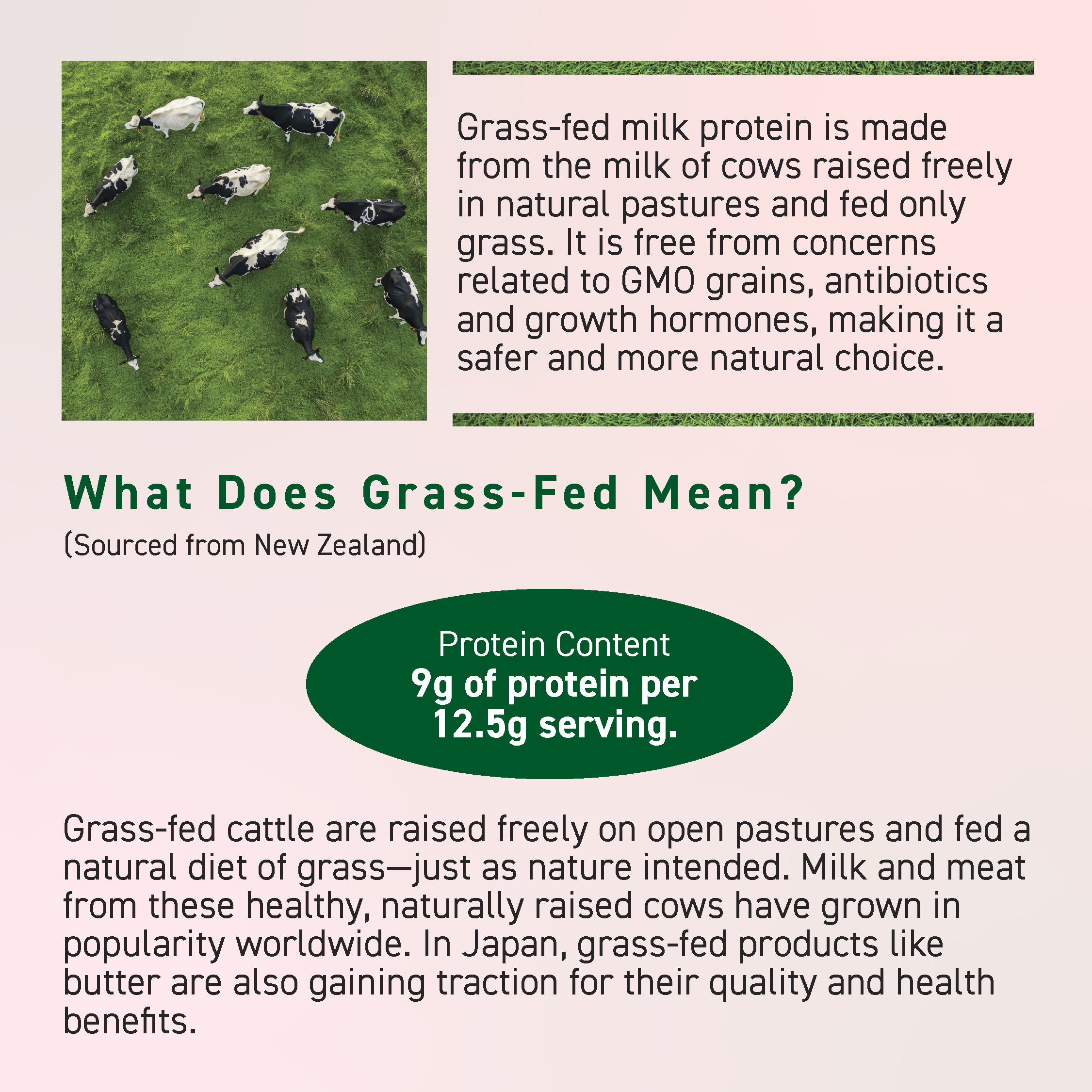 Beme Meister Kale & Grass-Fed Milk Protein