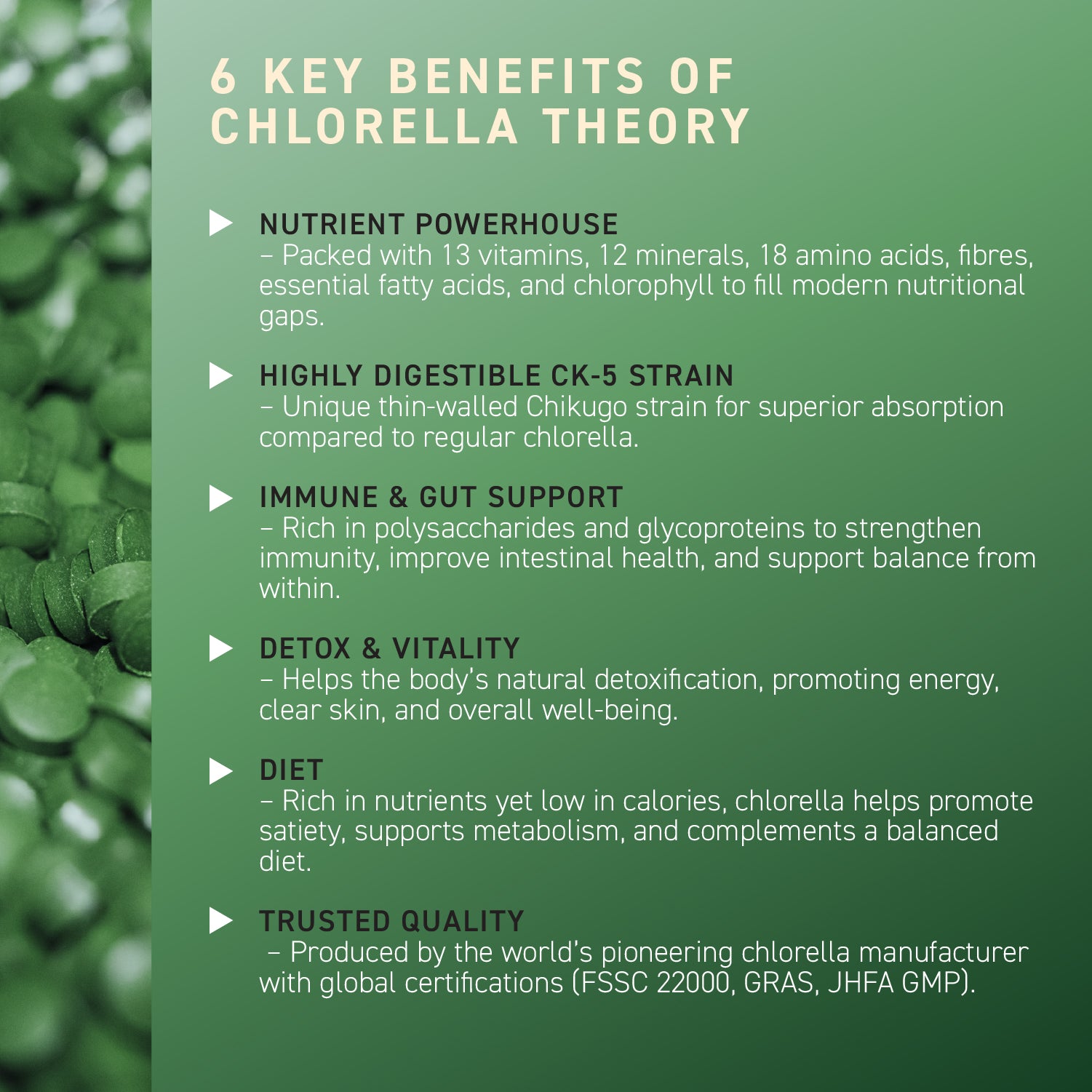 Chlorella Theory (1-pack)