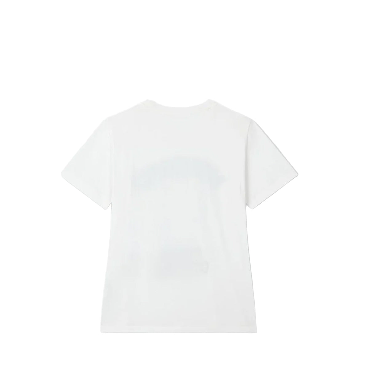 Voice Of Voices Lime Print Half Sleeve Tshirt