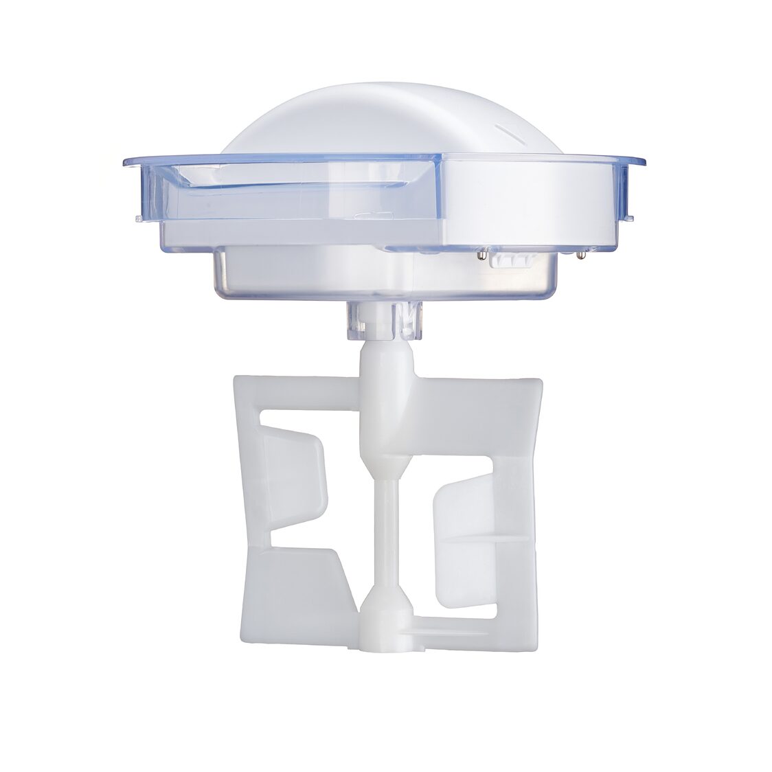 Solis Gelatissima (1879SL-979.60)