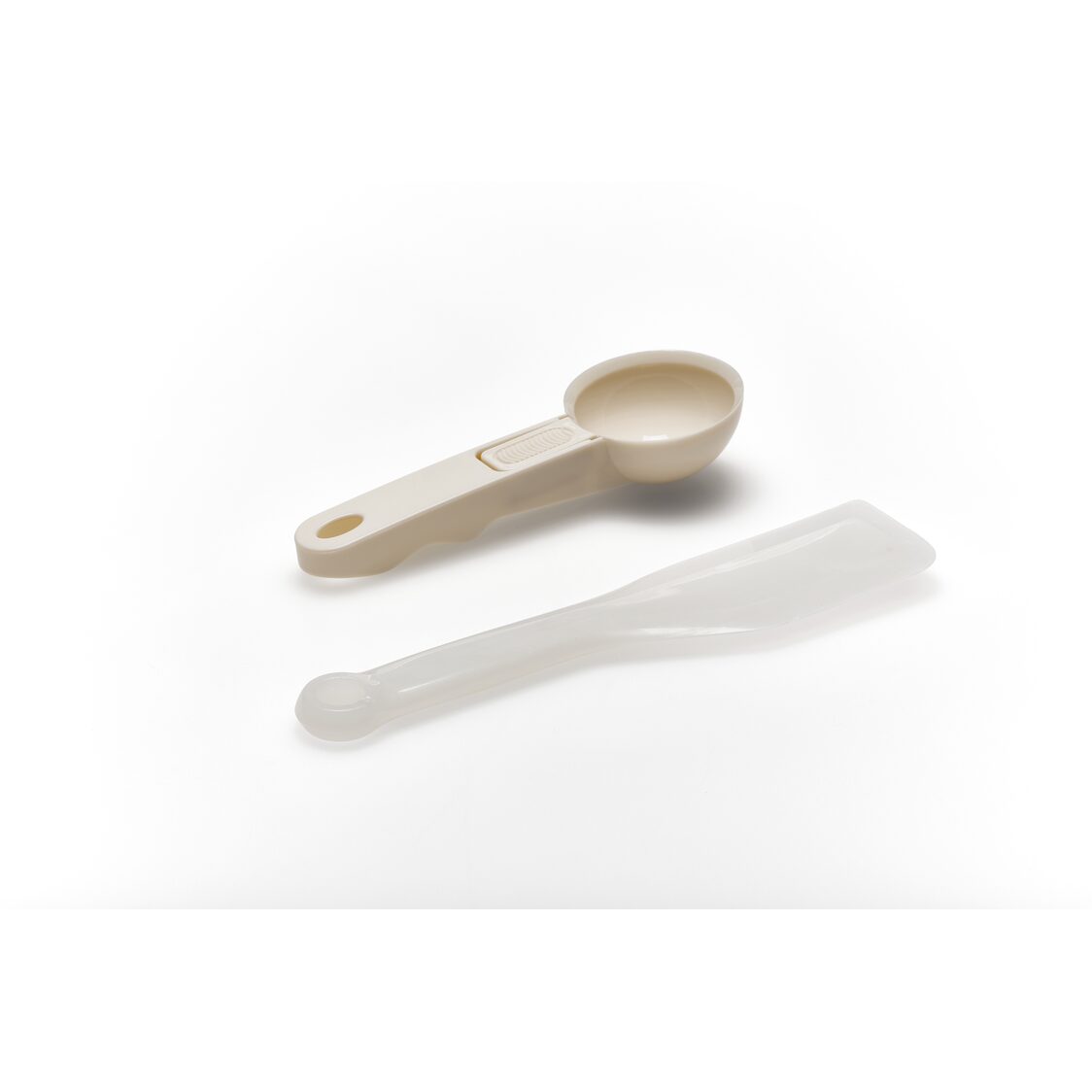 Solis Gelatissima (1879SL-979.60)