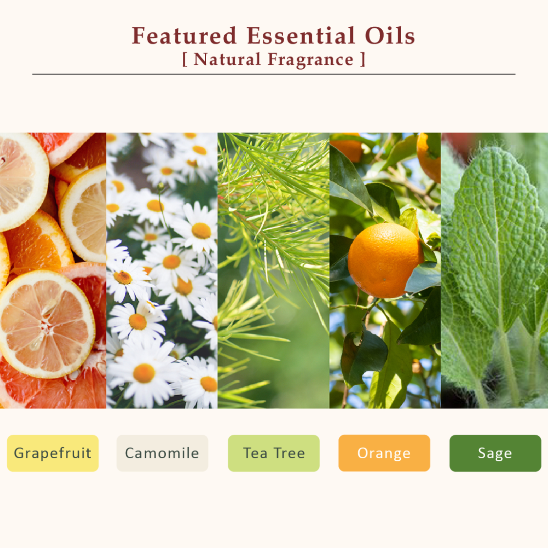 La CASTA Protect & Repair Hair Cream 150ml