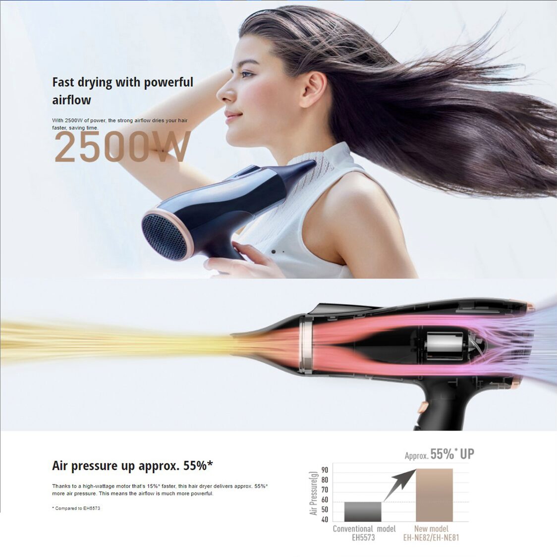 PANASONIC Ionity Hair Dryer with Diffuser 2500W (EH-NE82K605)