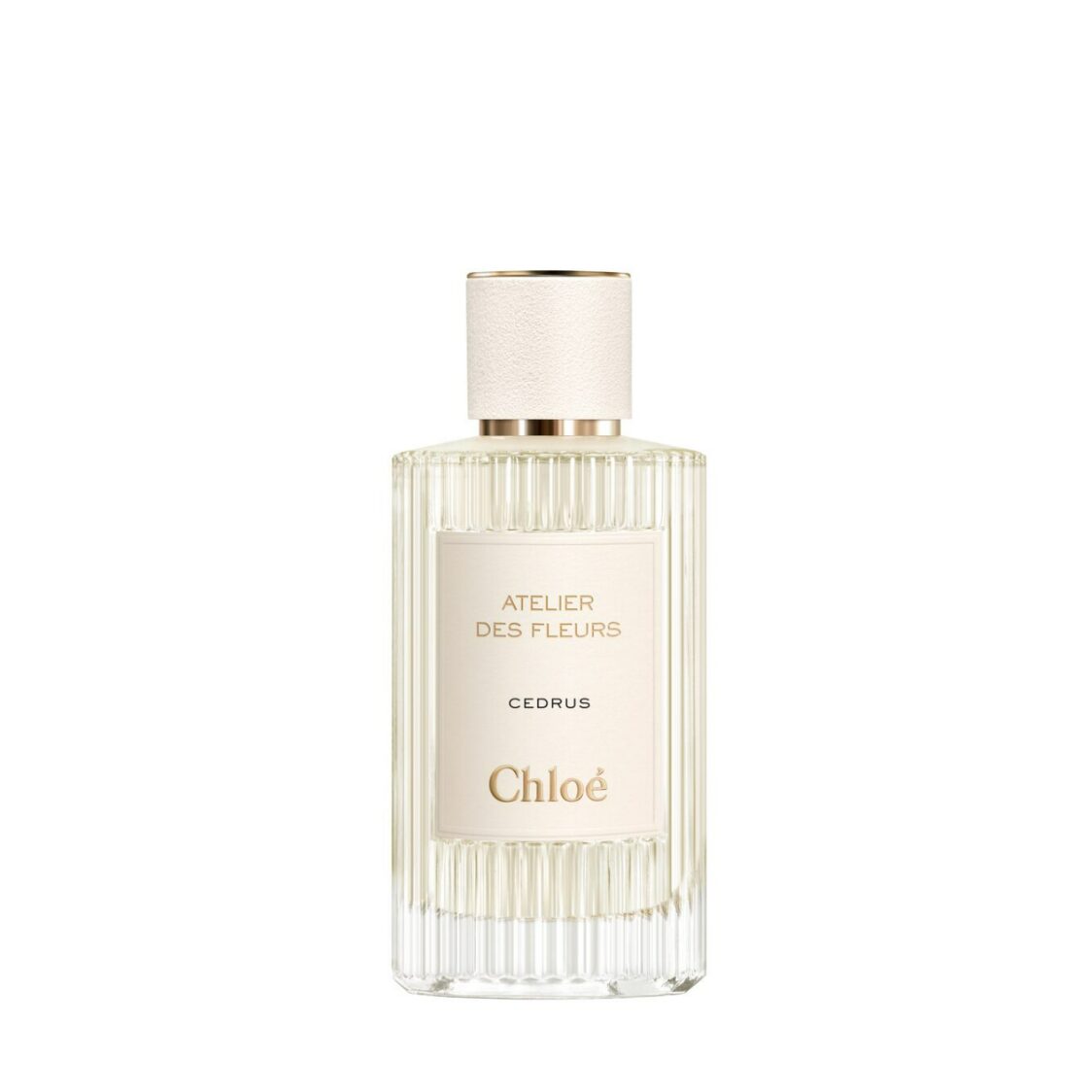 Chloé Atelier des Fleurs Cedrus Eau de Parfum - Metro Singapore Departmental Store - Celebrating 69 Years in SG