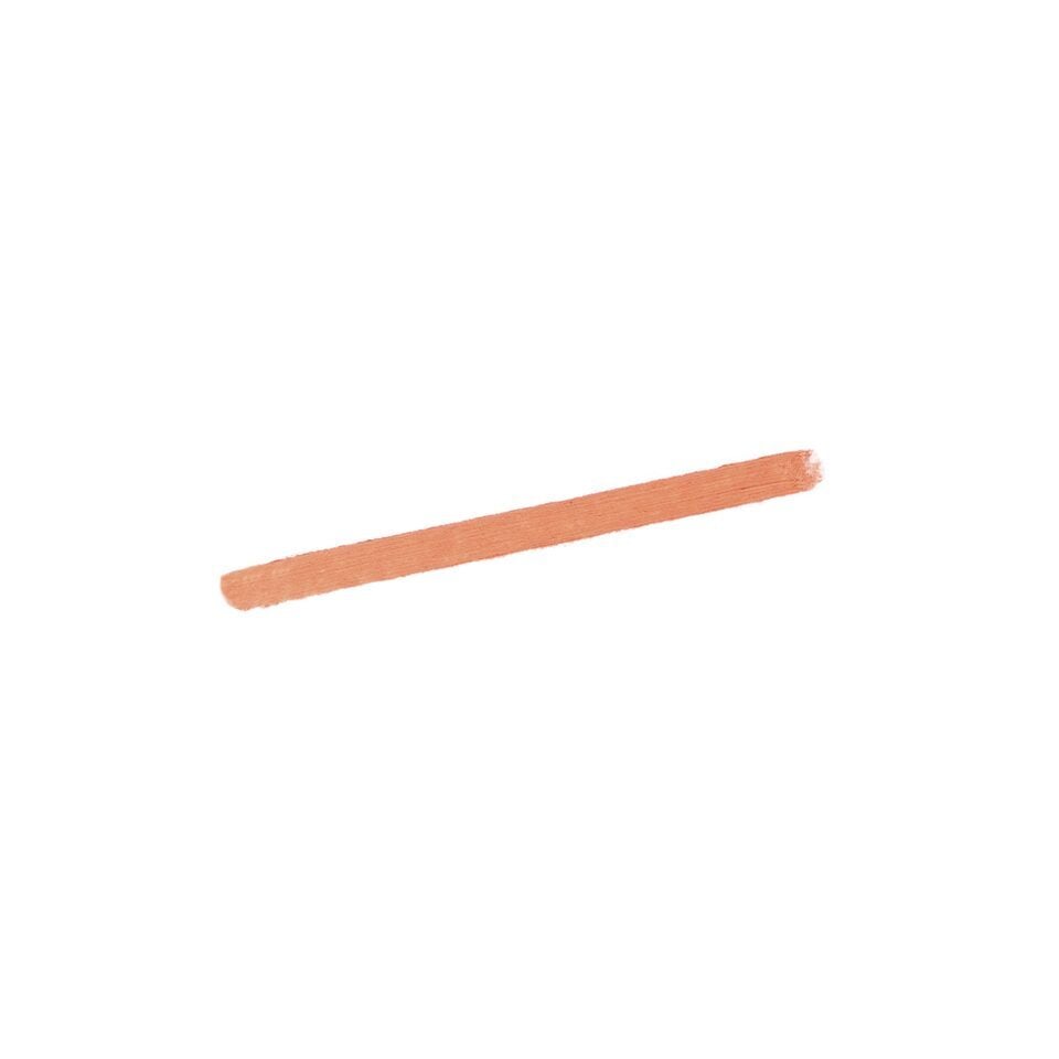 Sisley Phyto-Lèvres Perfect