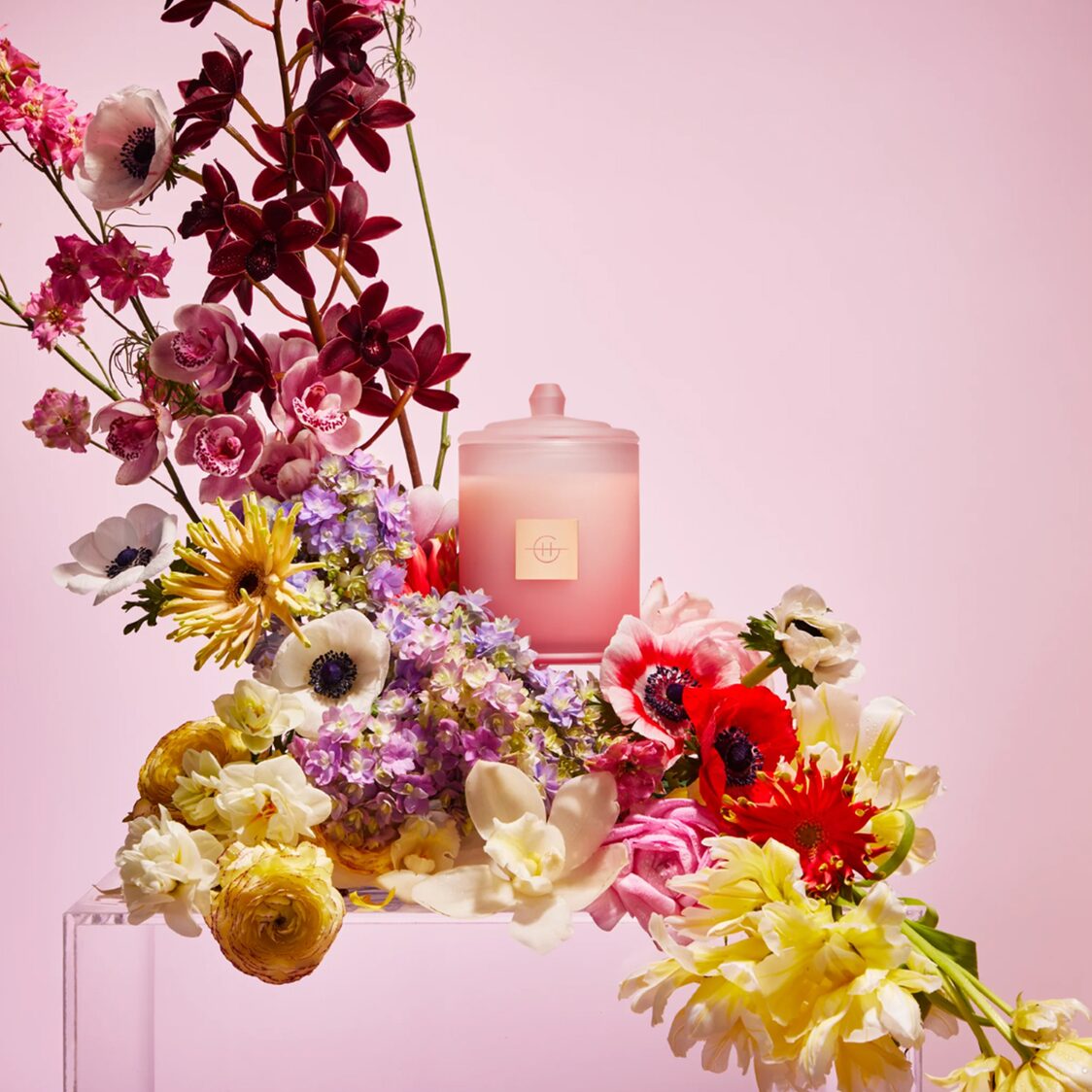 Glasshouse Candle 380g | Flower Show 2024 (Limited Edition)