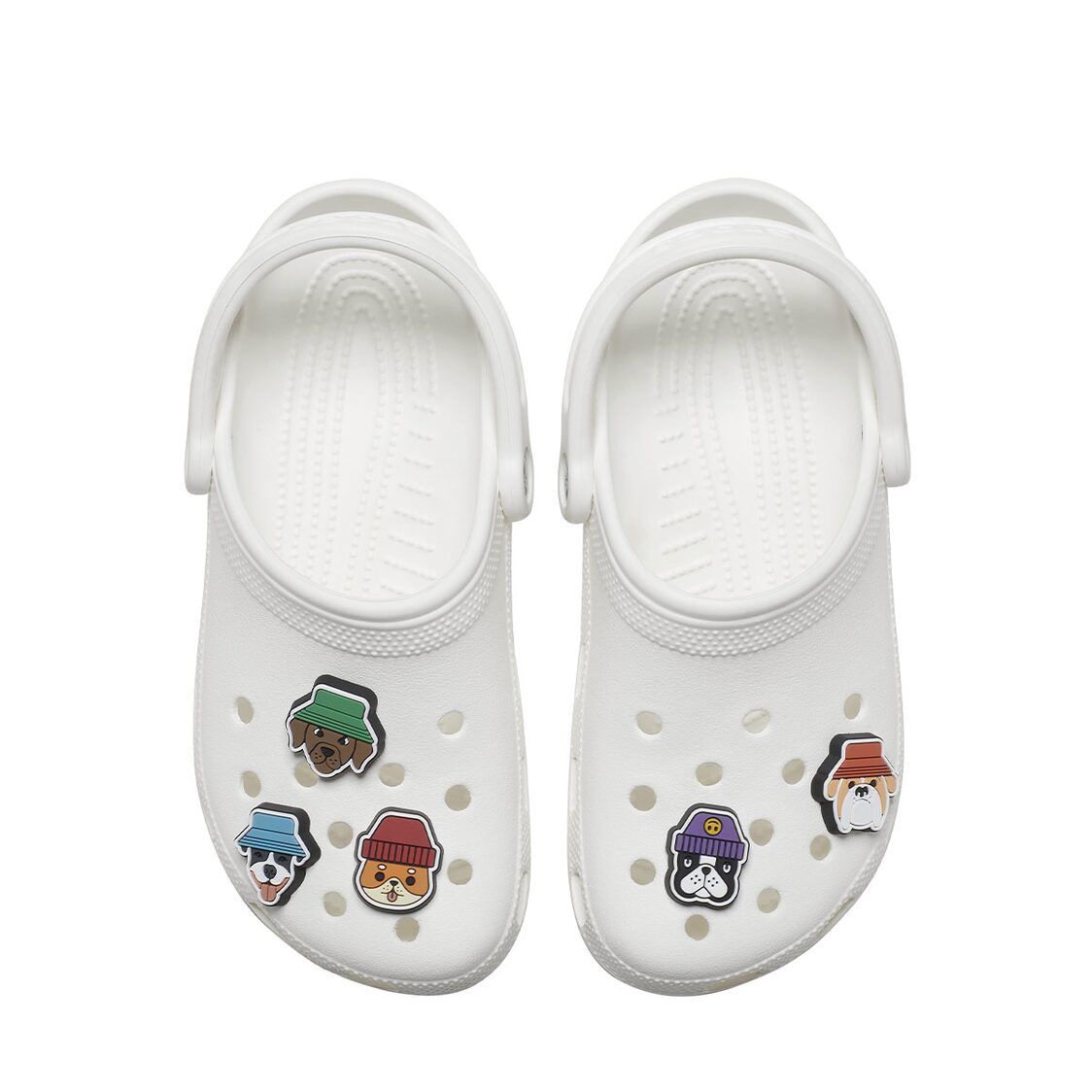 Crocs Dogs in Hats 5 Pack