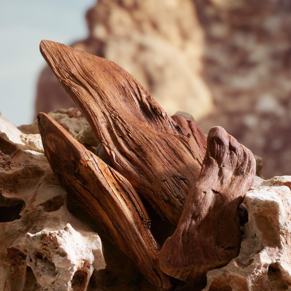 Dolce&Gabbana K Parfum