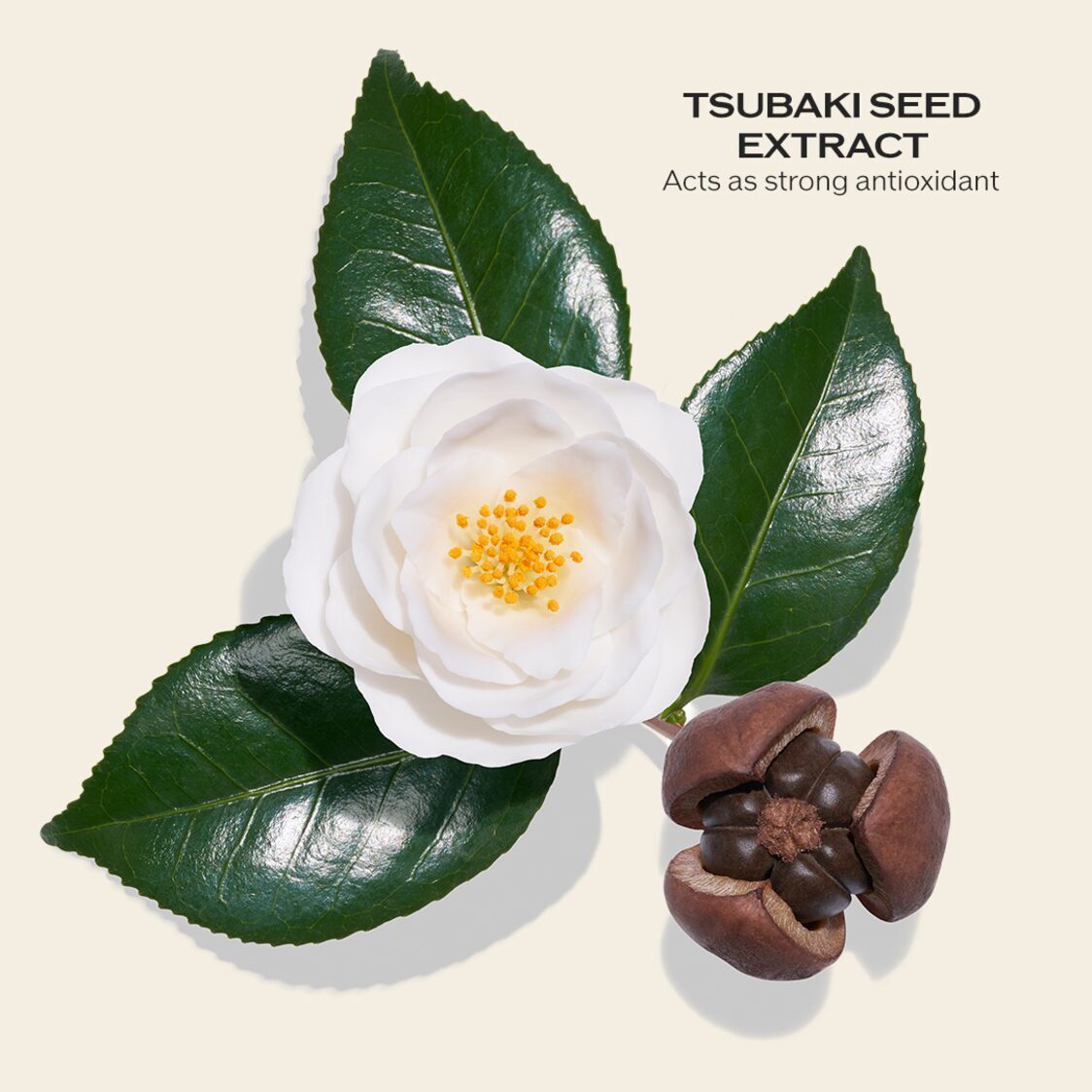 Shiseido Men Face Cleanser 125ml