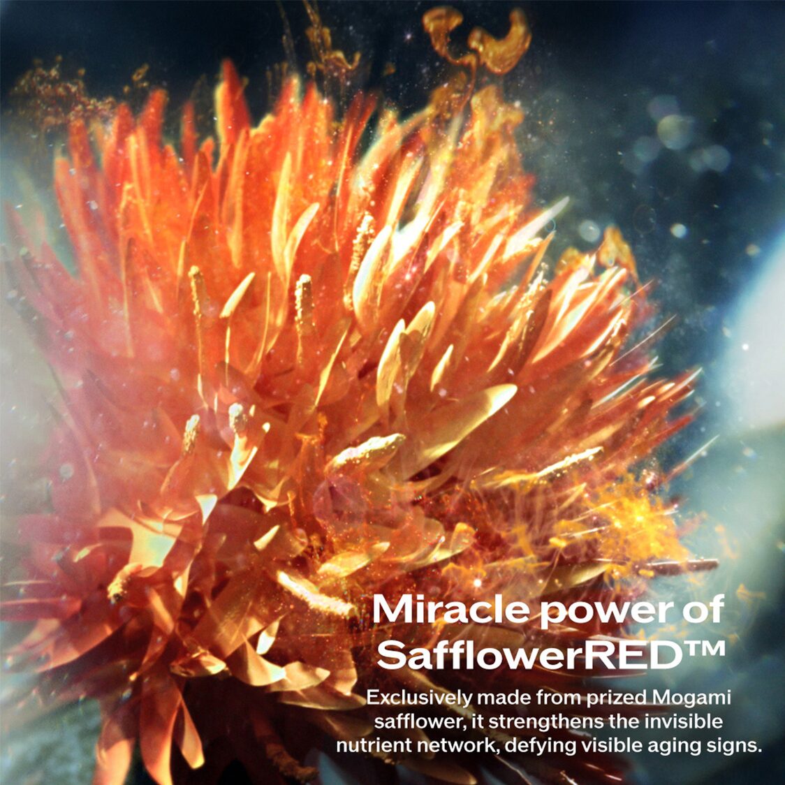 Shiseido Vital Perfection Uplifting and Firming Advanced Cream Soft 50ml Refill