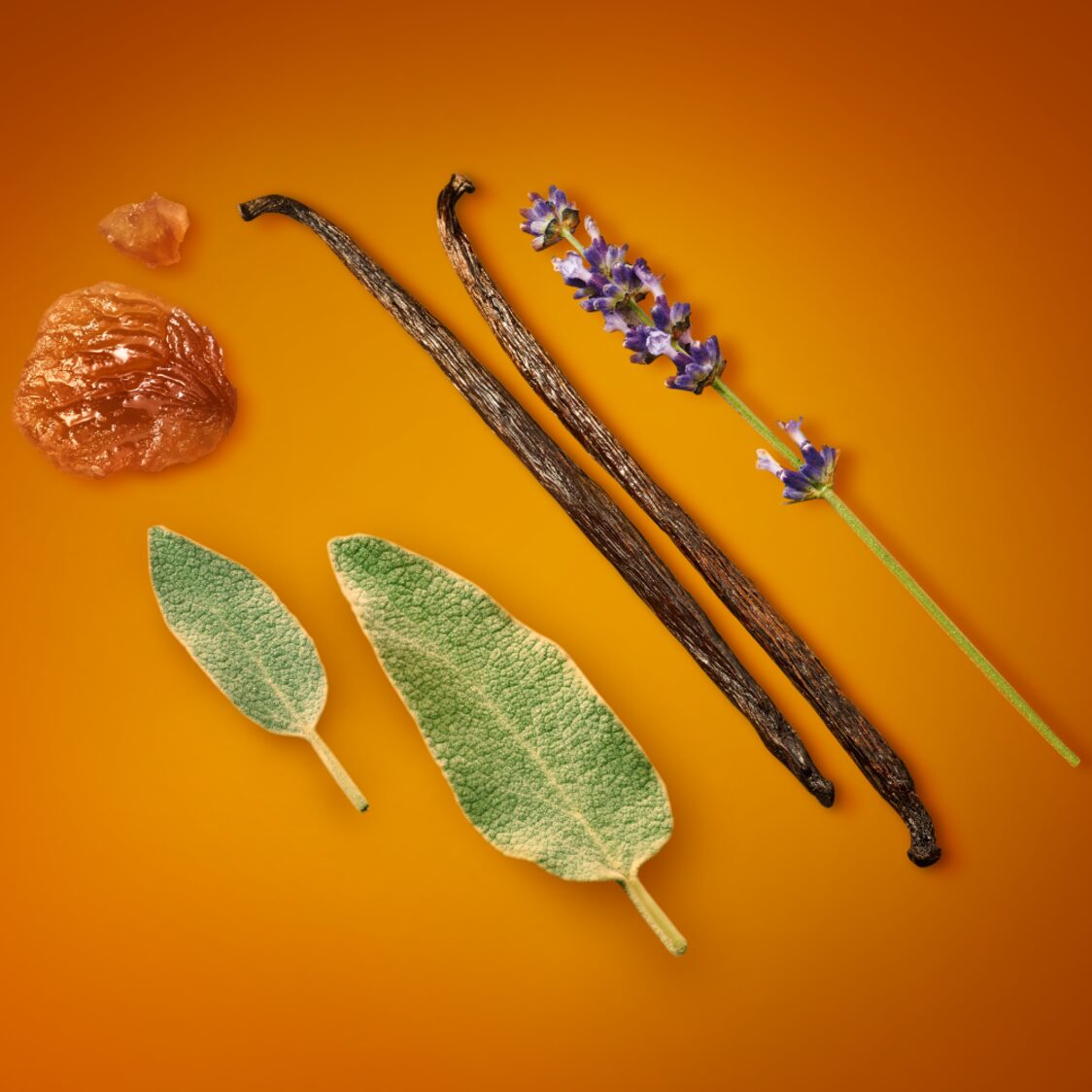 Emporio Armani Stronger With You Eau De Toilette 100ml