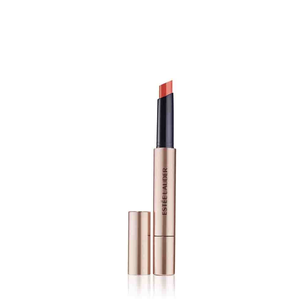 Estee Lauder Pure Color Melt - On Plumping Glosstickk - Metro Singapore Departmental Store - Celebrating 69 Years in SG