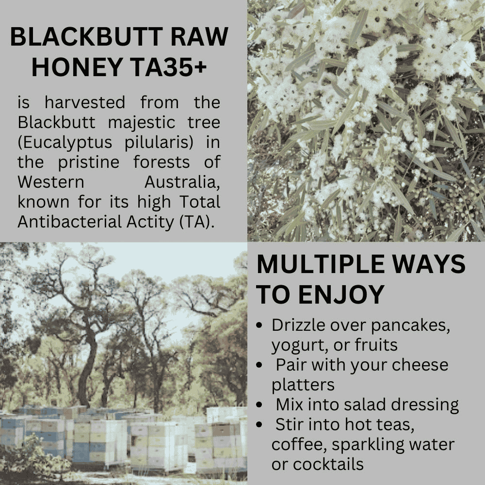 Hives Keeper Australian Blackbutt Honey - Active TA35+ 250g - Metro Singapore Departmental Store - Celebrating 69 Years in SG