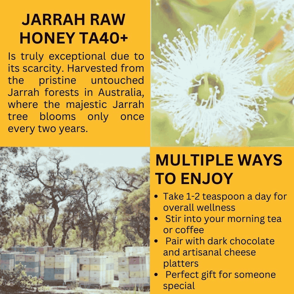 Hives Keeper Australian Jarrah Honey - Rare Harvest Active TA40+ 250g - Metro Singapore Departmental Store - Celebrating 69 Years in SG