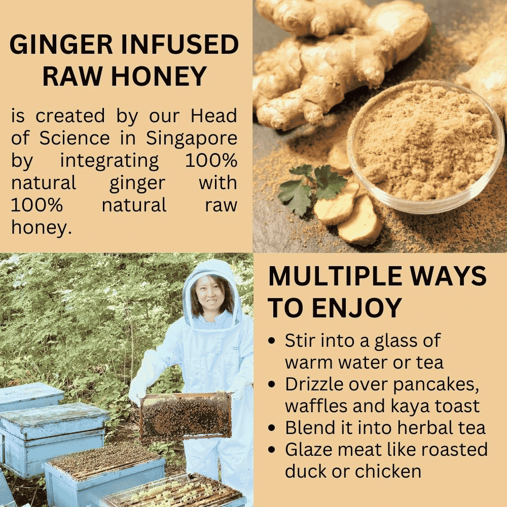 Hives Keeper Premium Ginger Infused Raw Honey 250g - Metro Singapore Departmental Store - Celebrating 69 Years in SG