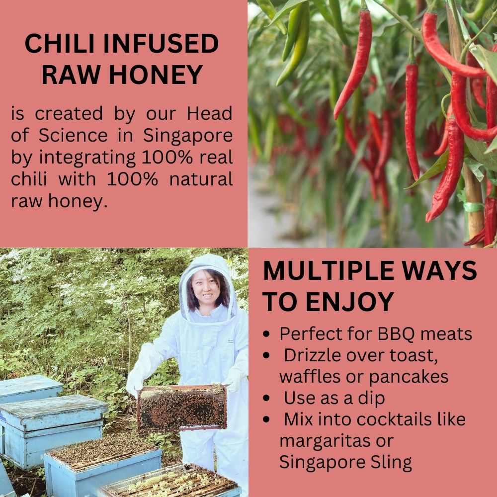 Hives Keeper Premium Hot Chili Infused Raw Honey 250g - Metro Singapore Departmental Store - Celebrating 69 Years in SG