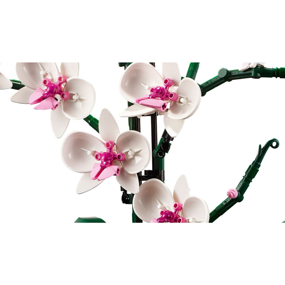 Lego Orchid 10311 - Metro Singapore Departmental Store - Celebrating 69 Years in SG