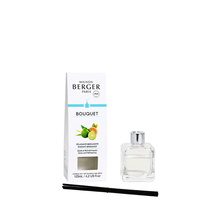 Maison Berger Paris Cube Reed Diffuser - Metro Singapore Departmental Store - Celebrating 69 Years in SG