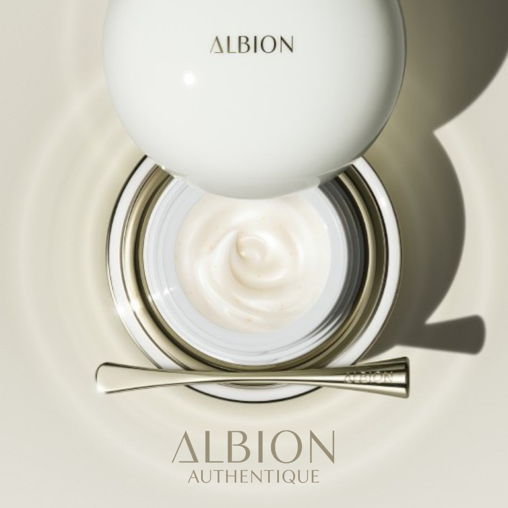  ALBION Authentique House Workshop